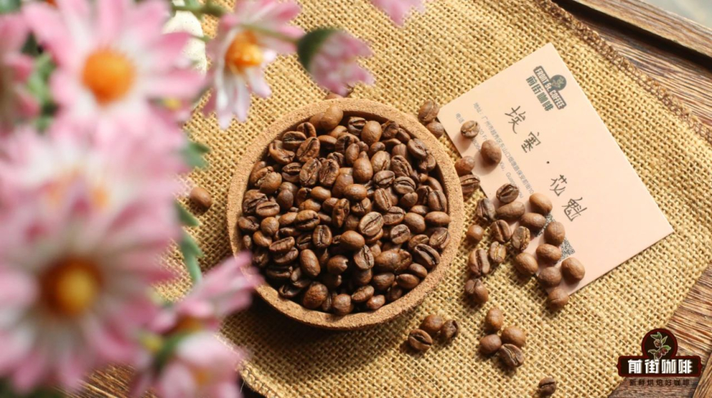 花魁65b