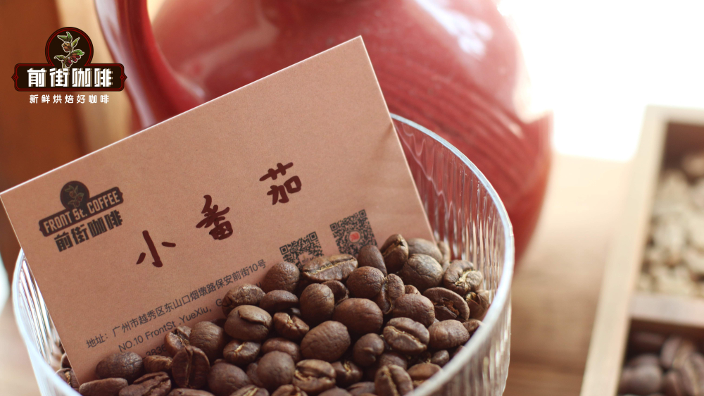 肯尼亚小番茄0402