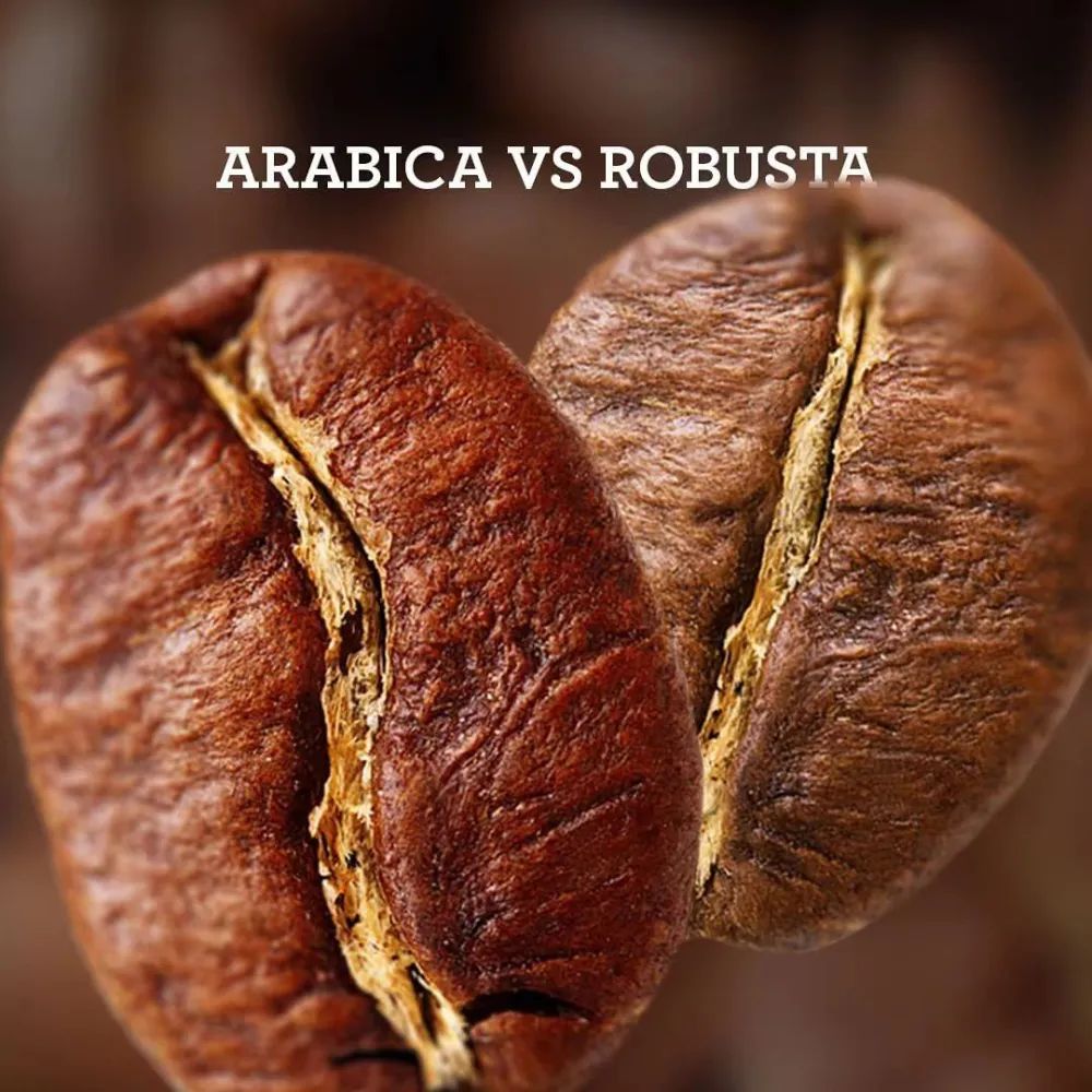 WechatIMG罗豆对比2219