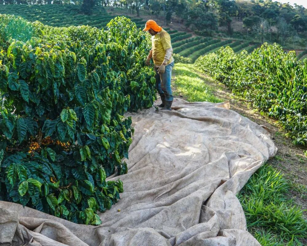 timthumb_ext_6cdd63b0f845b5f8d89036decddfa2b0