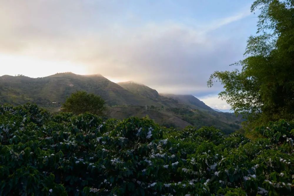 timthumb_ext_8b45f4e87a624f778cc5feecfd08d141