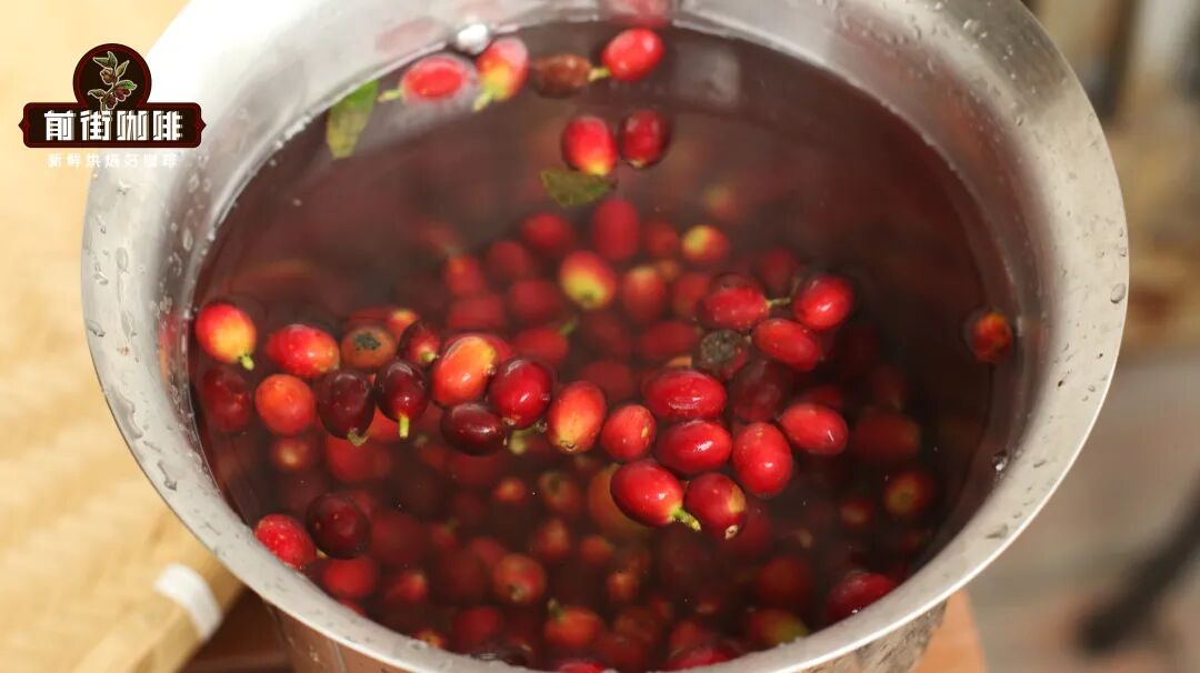 IMG_门店水洗咖啡果