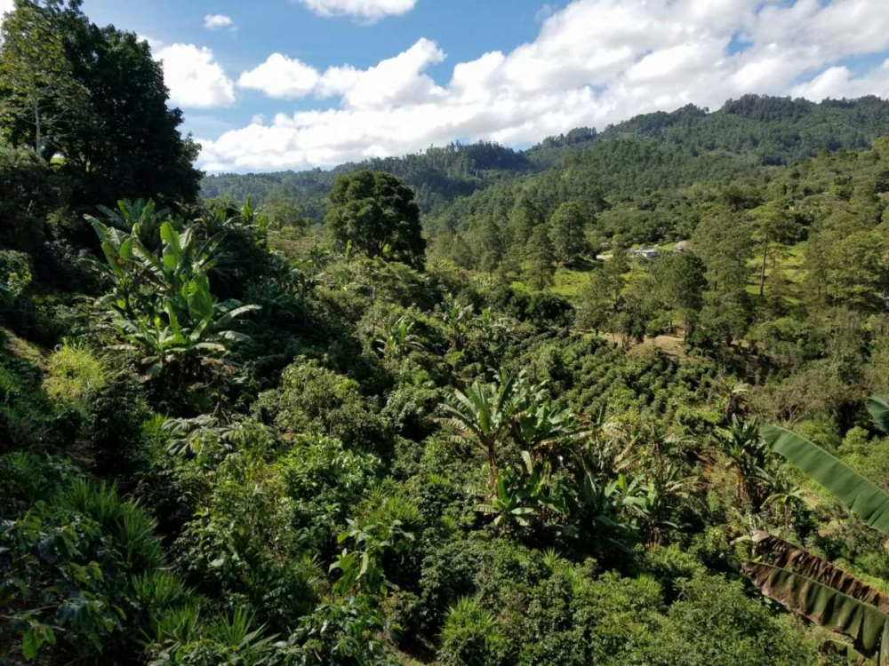 timthumb_ext_9d5baf1e45fcd227ed0566f749291c79 timthumb_ext_9d5baf1e45fcd227ed0566f749291c79