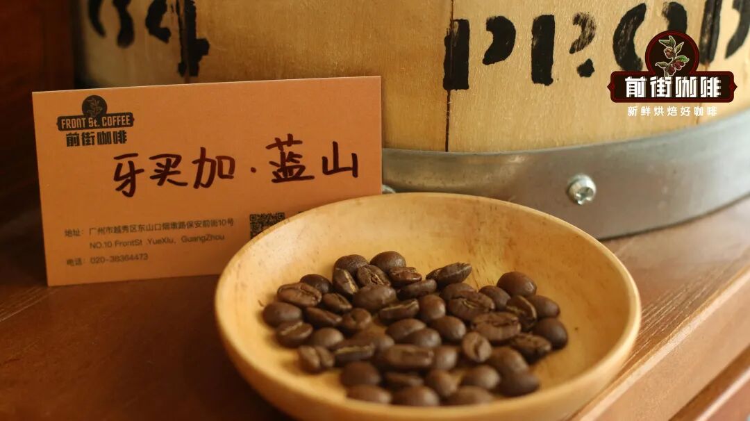 牙买加·蓝山咖啡豆