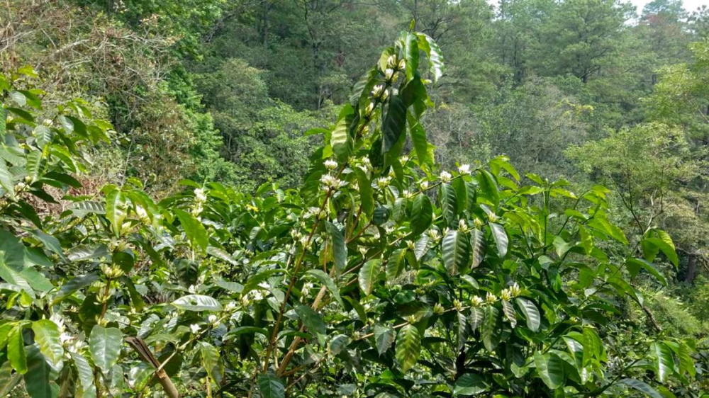 timthumb_ext_320ae5b0c64c83b5e9746a03bfa882c8 timthumb_ext_320ae5b0c64c83b5e9746a03bfa882c8