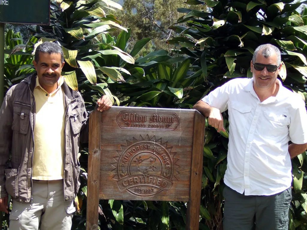 克里夫顿庄园25