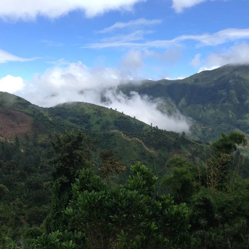 蓝山 克里夫顿4 蓝山 克里夫顿4
