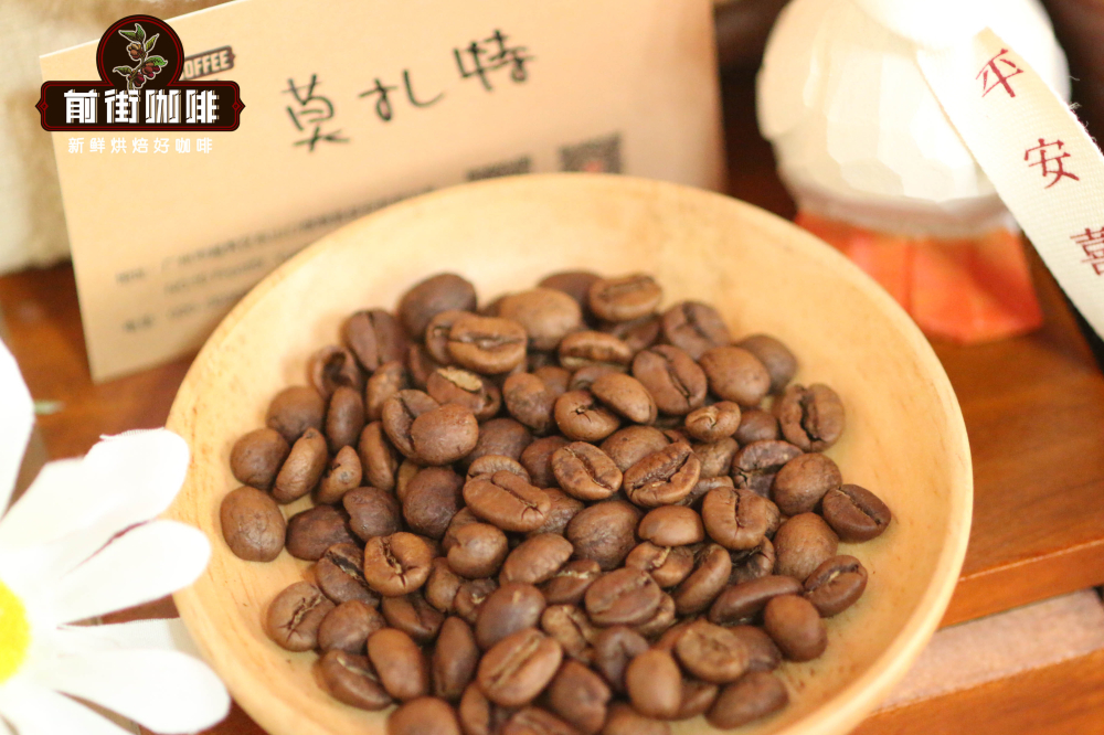 莫扎特 5f56 莫扎特 5f56