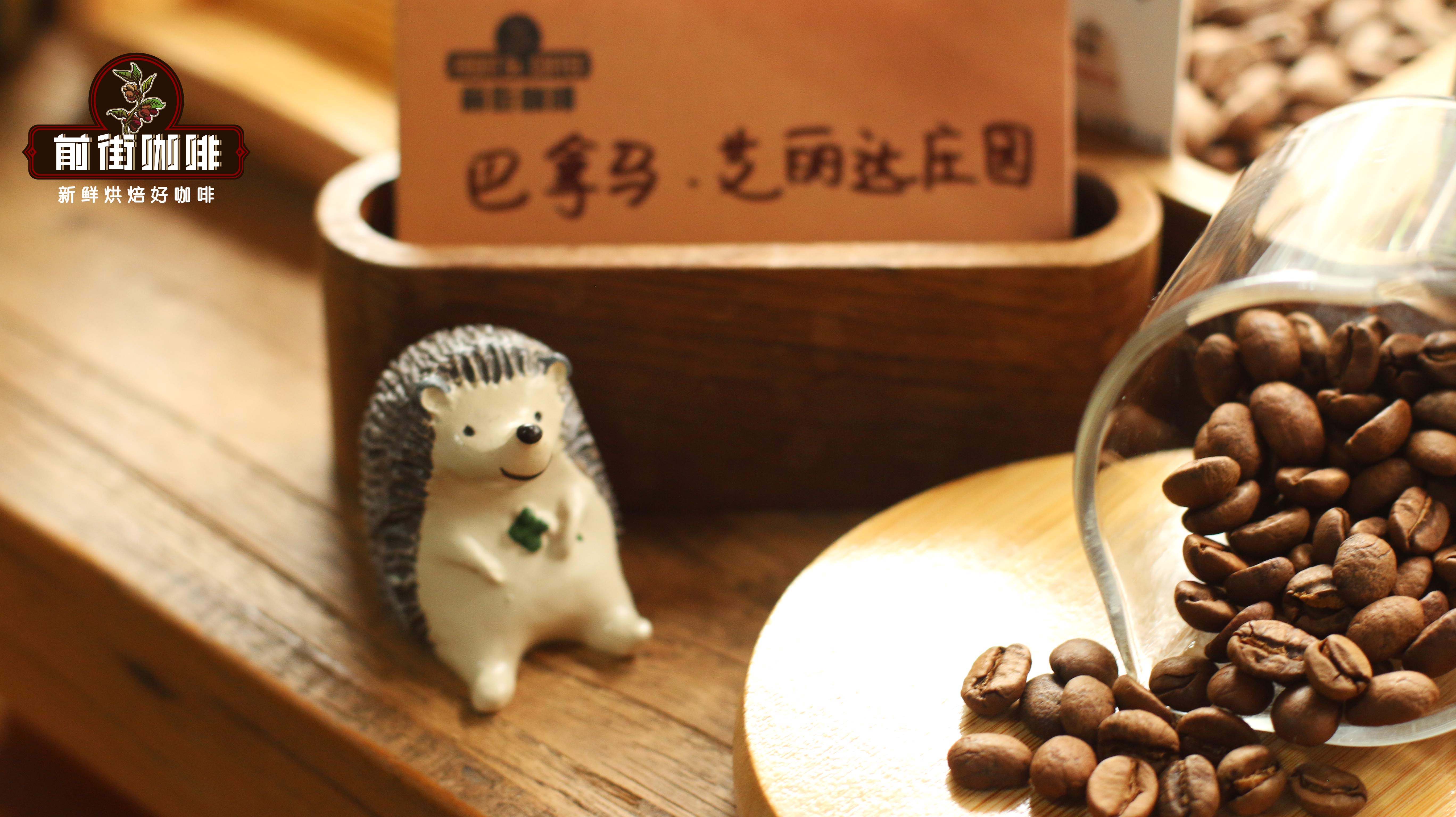 艾丽达卡杜艾616579 艾丽达卡杜艾616579