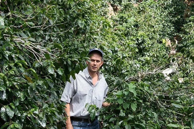 卡托瓦庄园jwdom