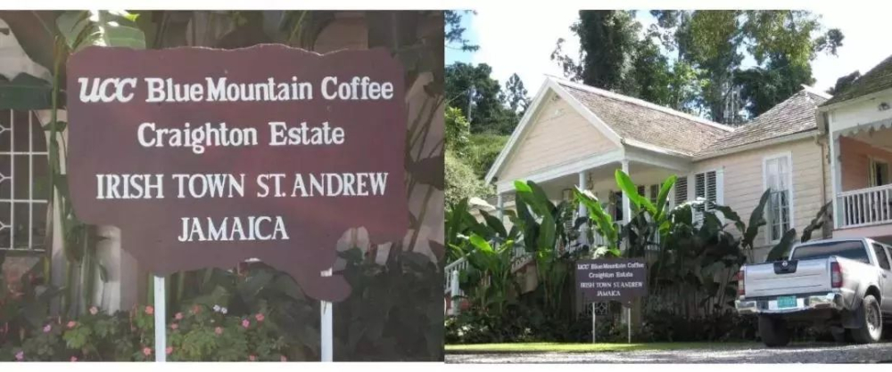 ucc蓝山咖啡庄园6