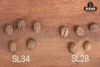 那么酸的肯尼亚咖啡为何这么受欢迎？种植环境 品种 处理法如何影响肯尼亚咖啡风味？肯尼亚特色水洗处理怎么操作