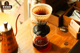 怎么使用聪明杯冲泡咖啡？哪些咖啡豆适合用聪明杯冲煮？埃塞俄比亚ALO手冲咖啡的风味如何