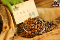 咖啡发源地埃塞卡法Kaffa森林介绍｜咖啡的由来从何开始？卡法森林咖啡风味有哪些特色？