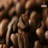 咖啡三大品种介绍｜阿拉比卡咖啡豆arabica beans与罗布斯塔咖啡豆robusta coffee有何不同