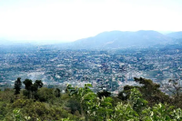 中美洲精品咖啡推荐｜萨瓦尔多有几个咖啡产区？萨瓦尔多种植的咖啡品种Pacas与Pacamara是什么