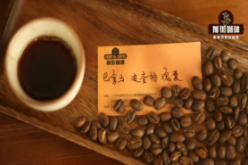 哪些是水洗咖啡豆？水洗咖啡怎么冲才能有丰富层次感？