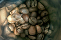 什么是西蒙特殊处理法/袋装发酵处理Bag Fermentation？西蒙处理咖啡生豆的瑕疵豆很多吗？