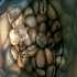 什么是西蒙特殊处理法/袋装发酵处理Bag Fermentation？西蒙处理咖啡生豆的瑕疵豆很多吗？
