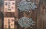 埃塞俄比亚的咖啡豆为什么总是有大有小？风味有什么不同吗？