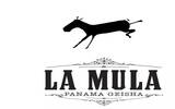 巴拿马骡子庄园介绍La Mula2014年最佳巴拿马BOP日晒骡子瑰夏