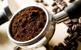 咖啡渣具有除臭除湿功能 还能够驱逐蚂蚁