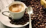 巴拿马 神曲庄园 水洗精品咖啡豆风味口感香气描述获奖情况介绍