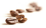 乌干达咖啡豆历史发源地介绍