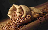 卢旺达咖啡豆处理方式以及品种简介