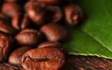 巴拿马咖啡豆种植环境产区