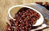 洪都拉斯咖啡出口出现历史性成长