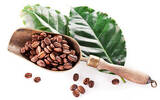 夏威夷产的科纳(Kona)咖啡豆的特征