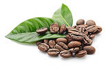 肯尼亚咖啡豆主要品种SL28、SL34风味介绍 水洗处理咖啡豆怎么冲