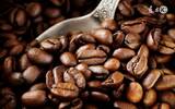 咖啡烘焙豆的保存与研磨