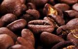 坦桑尼亚咖啡豆手冲口感评价