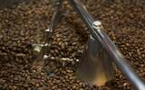 【Coco Espresso701】自家烘焙精品咖啡馆 由一颗生豆做起