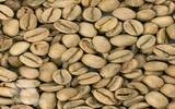 如何挑选高品质的咖啡生豆