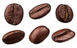 阿尔杜马拉咖啡的制作方法分享