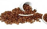 耶加雪菲按咖啡生豆处理方式