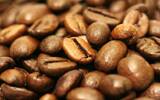 探索亚洲咖啡产区——印度 India度风渍豆