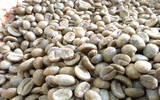 哥斯达黎加拉斯拉哈斯庄园黑蜜处理咖啡风味口感香气描述