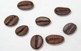 关于坦桑尼亚咖啡豆等级的简述