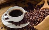 2017年上半年云南咖啡出口货值居全省单项商品第一
