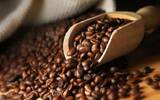 如何判定咖啡豆的新鲜度?把握住三个要点：闻、看、剥！