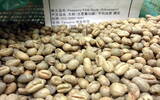 坦桑尼亚 乞力马扎罗北部 FAQ 圆豆咖啡风味口感香气描述