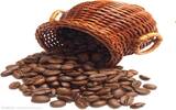 加拉帕戈斯咖啡更显珍贵的原因
