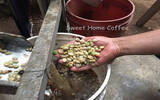 肯尼亚涅里古古鲁圆豆咖啡风味口感香气描述