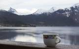 以高品质著名的挪威咖啡风味和文化详细介绍 爱乐压最多的国家
