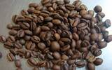 咖啡豆养豆期究竟多长？难道要等３個星期以上才能喝？
