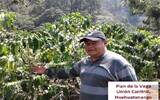2017危地马拉新豆 危地马拉COE拉维加优胜计划咖啡豆